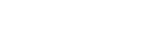 IPPD Logo